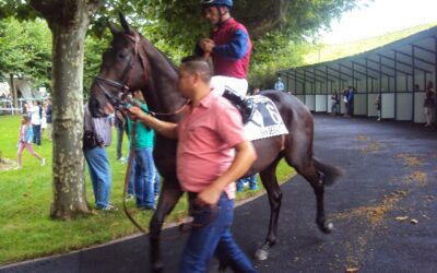 Tercera tentativa para Zambeze!!!