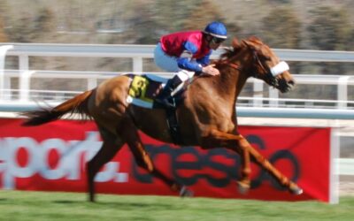 Ranyán se despide hasta el próximo año …..