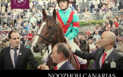 Noozhoh Canarias, el reclamo de nuestro turf!!!