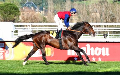 Valiant Blue, disputará su primer 1.200 LR en Madrid!!