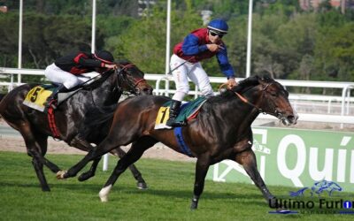 Zambeze y Valiant Blue, Partants definitivos!!!