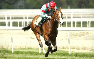 Noozhoh Canarias a las ordenes de Laffón