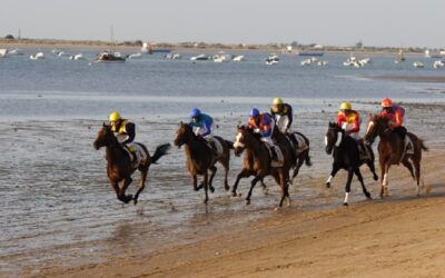 La playa no es para Valiant
