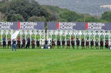 Emigrando hacia el turf….