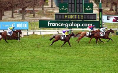 Nuestros colores reaparecen en pista!!!