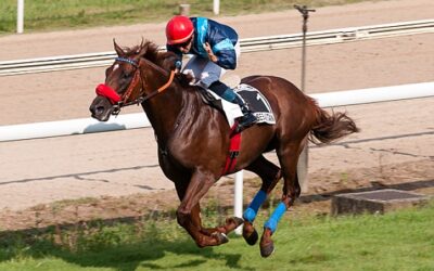 Muchas gracias Céltic!!!