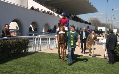 Hakan y Valiant Blue comienzan su otoño!!