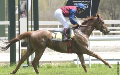 Ranyán, a la tercera va la vencida….