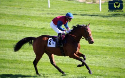 Barbarigo y Powerful despiden el 2019