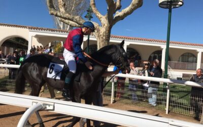 Imprevisible carrera para Parisien Blue….