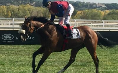 Barbarigo y Caribean Blue estrenan la temporada veraniega