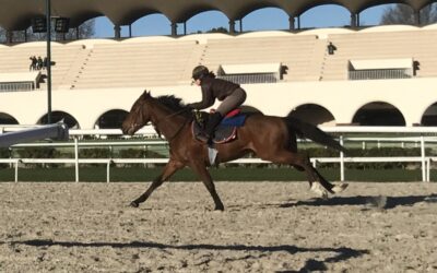 Una consolatoria que sabría a Gran Premio….