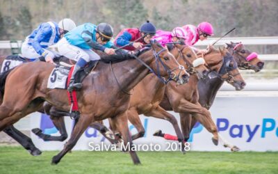 Consolatoria de bronce