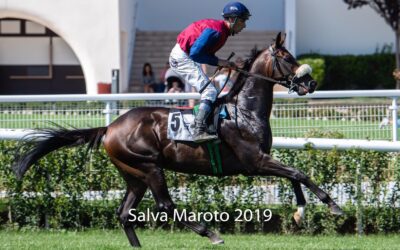 Buen 4º de Powerful y descalabro de Barbarigo