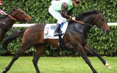 Powerful, a confirmar su condición de sprinter…