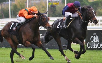 GP Román Martin, el objetivo marcado para Kowalsky.