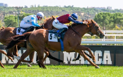 Merecido oro para El Sokhna y plata para Kamara