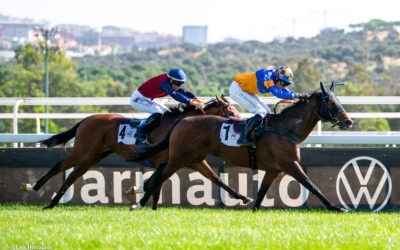 Cal o arena para Kamara