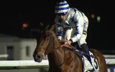 Banker Nine se presenta en Dos Hermanas