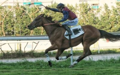 Dragon y Banker acompañan al gran Kowalsky a Lasarte